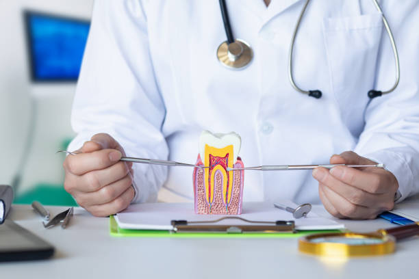 Best Emergency Dental Care for Broken or Chipped Teeth in Warsaw, IN